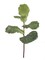 12-Pack: Fiddle Leaf Fig Spray with Silk Leaves, Floral Home by Artificial Flowers